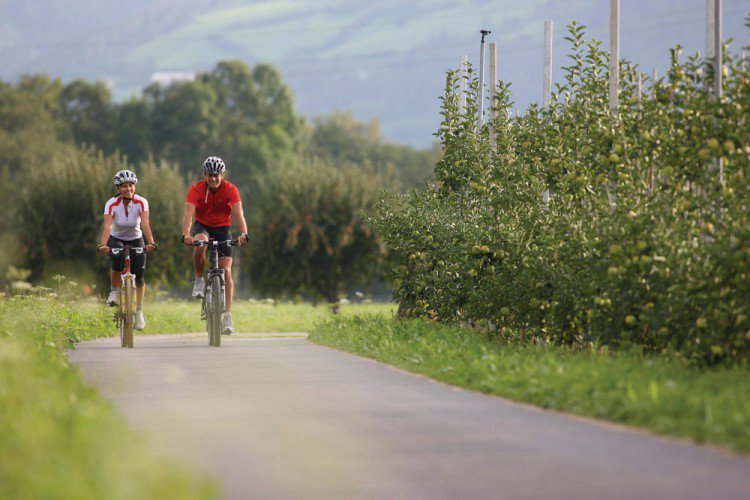 Lungo l'Adige sulla pista ciclabile